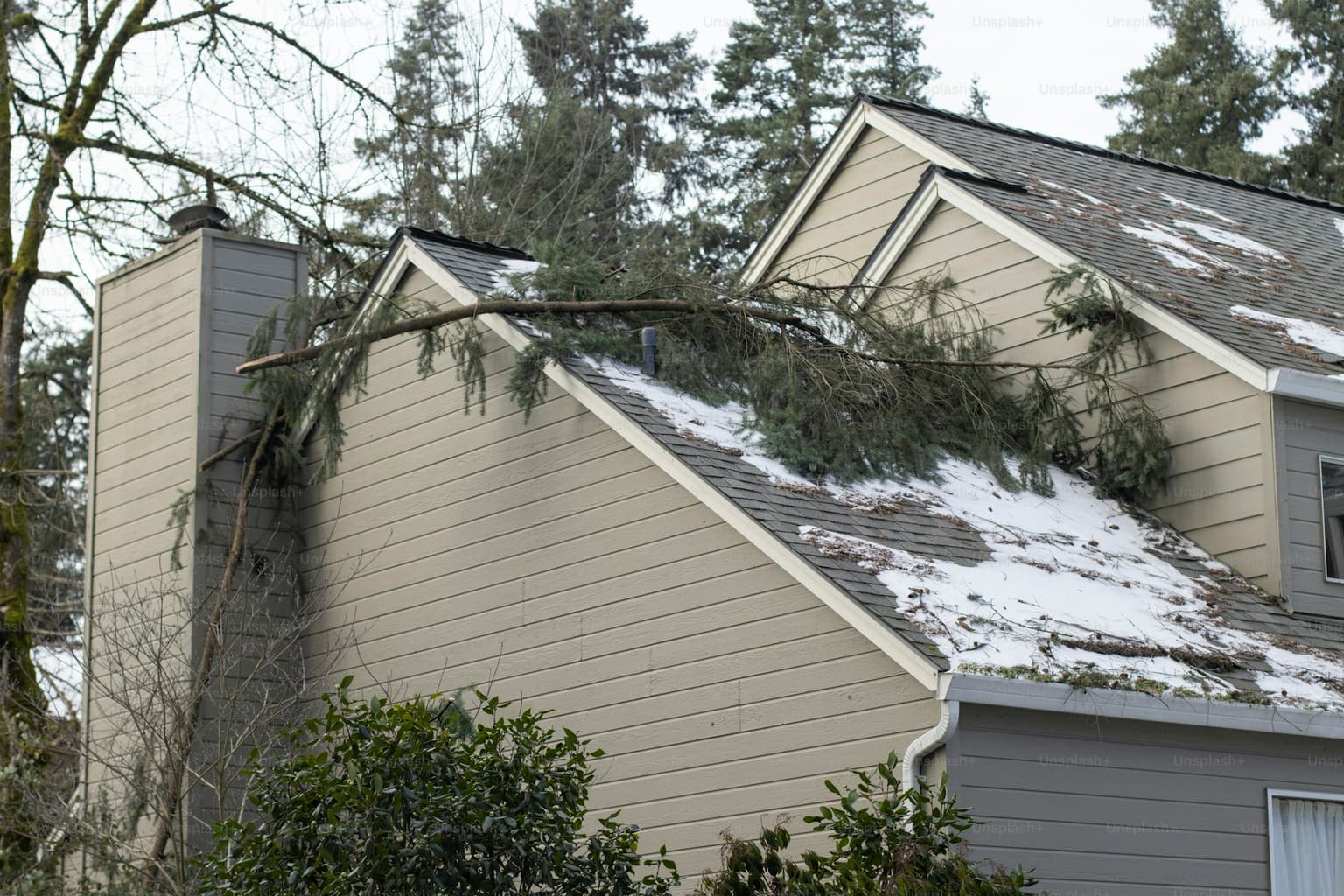 Storm Damage Restoration Toronto — before